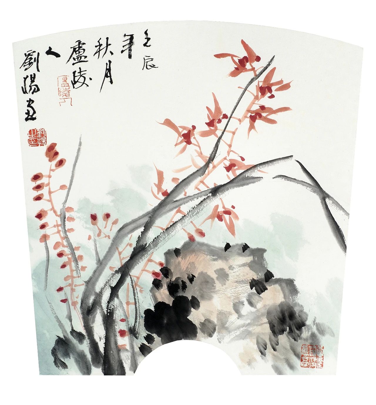 蕙兰小品     高50cm.jpg